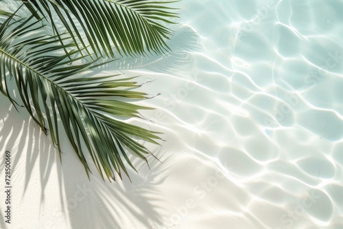The water reflects the shadows of palm leaves on the white sand beach, creating a beautiful abstract background perfect for a summer vacation.