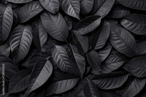 Amidst the black leaves of a tropical forest, the abstract textures create a dark and romantic backdrop, perfect for a fantasy-inspired fashion shoot or a dreamy meditation escape.