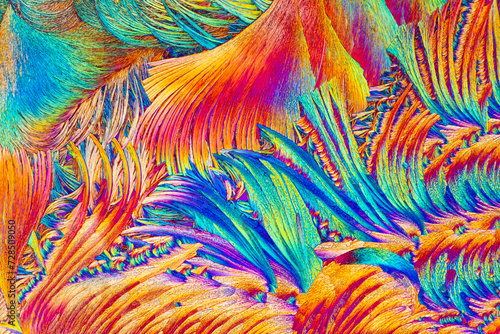 A detailed microscopic photograph reveals the feather-like structures of salicylic acid crystals, bursting with a spectrum of vivid colors photo