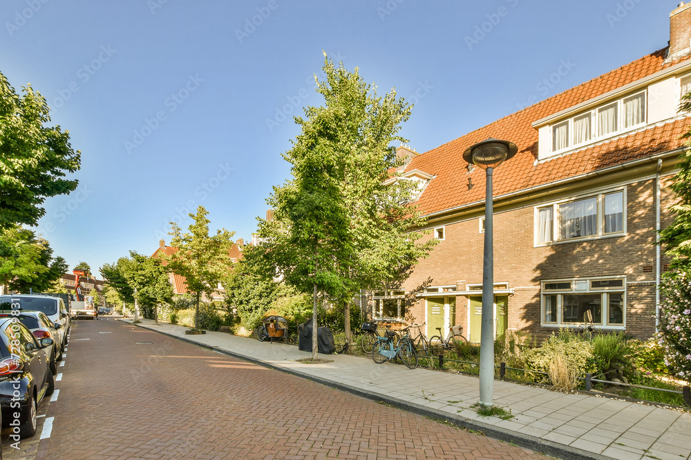Sunny residential street with rows of houses Sunny residential street with rows of houses