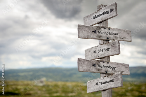 marketing management strategy technology teamwork five word quote on wooden signpost outdoors in nature.