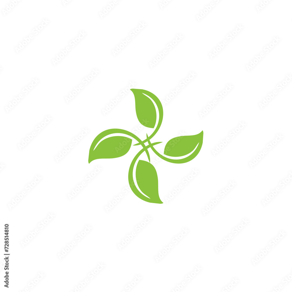 green leaf isolated on white background green leaf isolated on white background