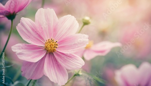abstract floral backdrop of pink flowers with soft style © RichieS