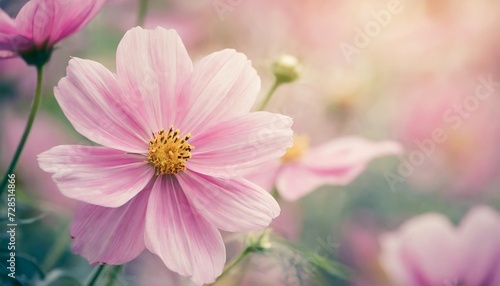 abstract floral backdrop of pink flowers with soft style