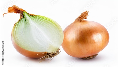 fresh onion bulb isolated on white with clipping path
