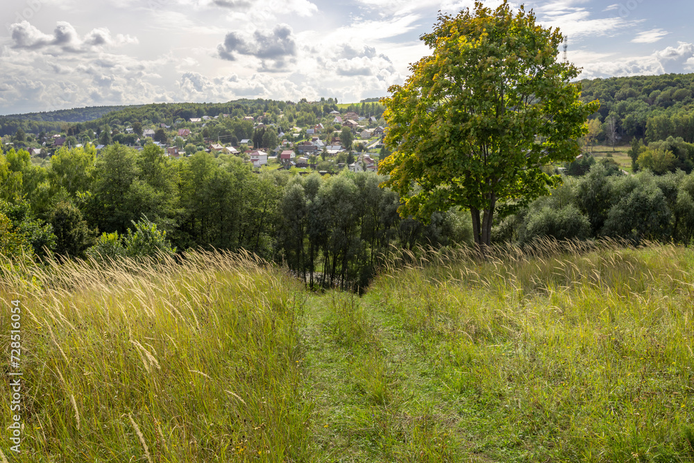Meadow grass on a hillside, bright sunny landscape, tree near a cliff