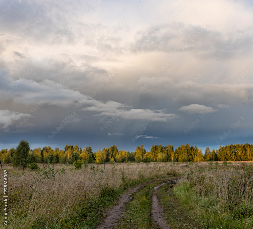 Naklejka premium Evening summer landscape, dramatic sky over a field. road through the meadow