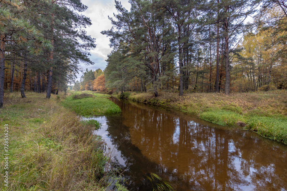 Autumn landscape, dense forest on the river bank with a beautiful reflection of calm water. Autumn landscape, dense forest on the river bank with a beautiful reflection of calm water.