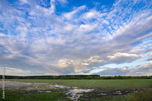 Fototapeta Naklejka Na Ścianę i Meble -  landscape with clouds
