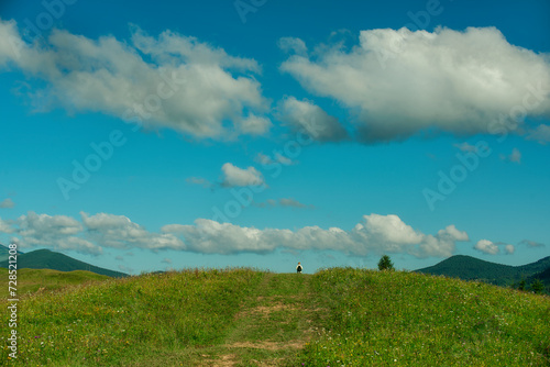 A path among green flowering hills and a figure of a tourist on the path on a sunny summer day