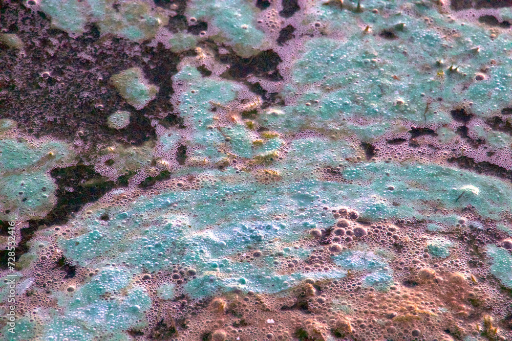Obraz premium Algae soup in close up in shades and many colors