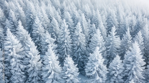 Snow-covered forest. Generative AI © Roman