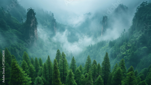 Mountain landscape with mist and fog Trees with misty peaks under the morning cloudy sky. © ภูริพัฒน์ ภิรมย์กิจ