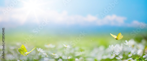 Art Beautiful blurred spring background nature with blooming glade, butterfly and blue sky on a sunny day © Konstiantyn