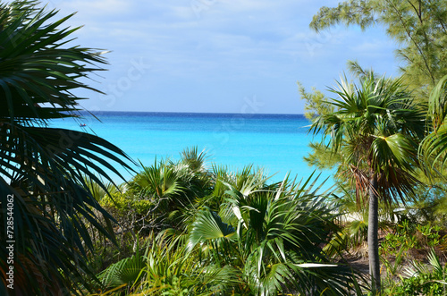 Tropical beach scenery, palm trees in front, turquoise ocean in the background