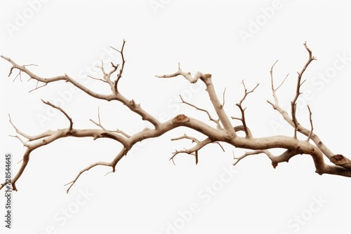 A bird perched on a branch of a tree. Can be used for nature-themed designs or illustrations