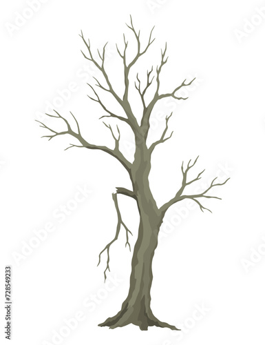 Old dead tree  rough spooky bark  dry naked branch silhouette. Vector scary forest  leafless trunk. Nature ecology problems concept. Winter or autumn season plants icon isolated