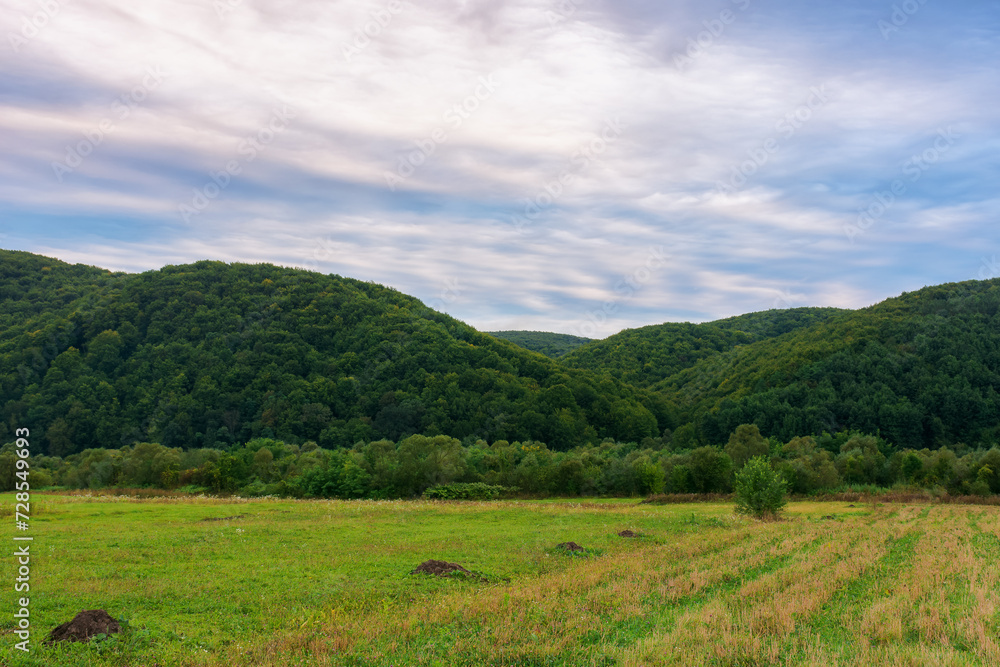 Fototapeta premium scenery of carpathian countryside in autumn. remote rural landscape in mountains of ukraine on an overcast morning
