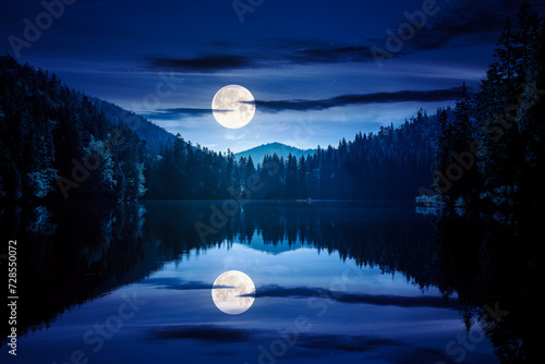 moon reflecting on the water surface of a lake. night scene with dark forest on the hill © Pellinni