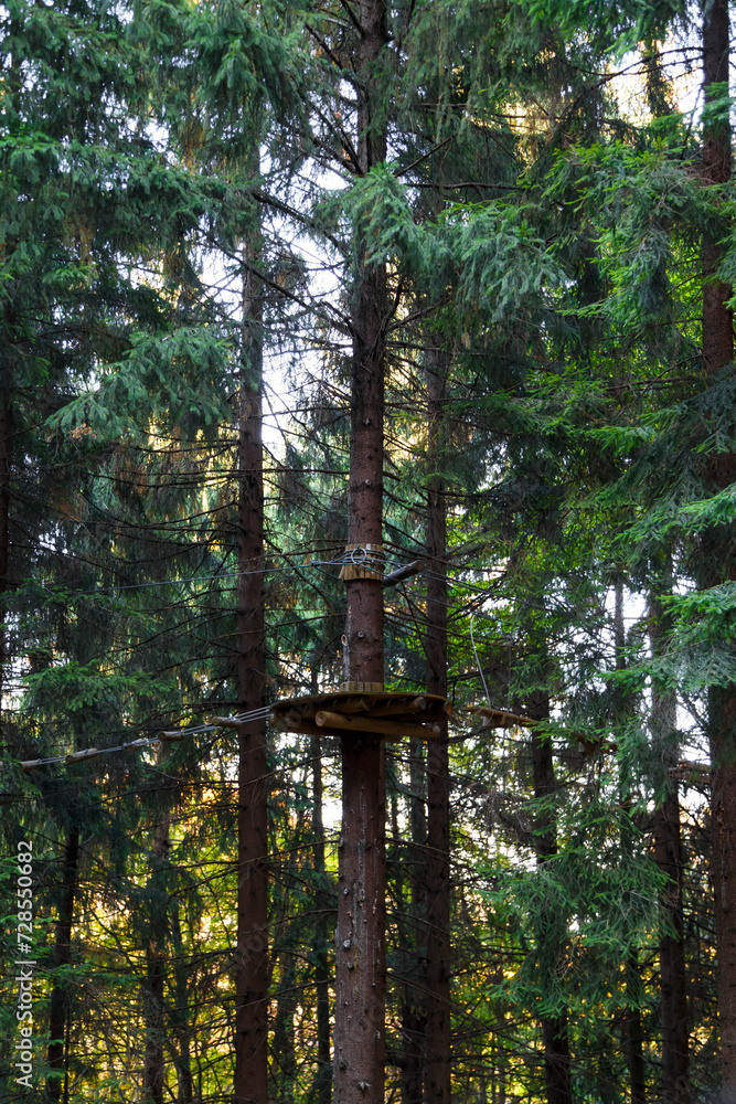 Rope-way in adventure park. Empty extreme rope park with ziplines, routes and games in real forest in mountains Rope-way in adventure park. Empty extreme rope park with ziplines, routes and games in real forest in mountains