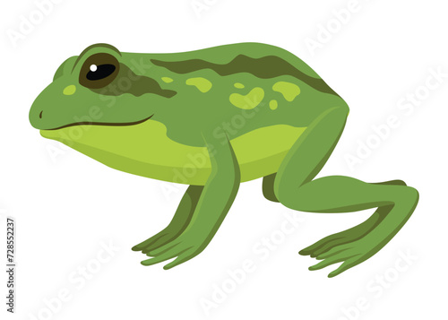 Frog jumping animation icon. Sequences or footage for motion design. Cartoon toad jumping, animal movement concept. Frog leap sequence, vector illustration