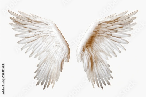 A pair of white wings on a white background. Perfect for angelic or ethereal themes