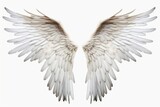 White wings on a plain white background. Versatile image suitable for various concepts and designs