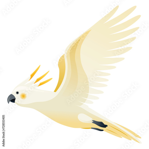 Parrot animation. Exotic adorable fauna character flight. White sulphur crested cockatoo. Animated tropical bird flying