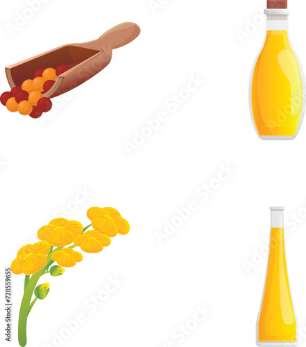 Rapeseed icons set cartoon vector. Canola oil seed and flower. Brassica napus, plant