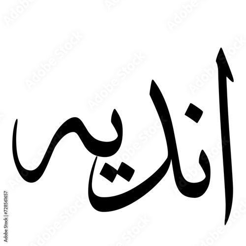 Andia Muslim Girls Name Sulus Font Arabic Calligraphy  photo