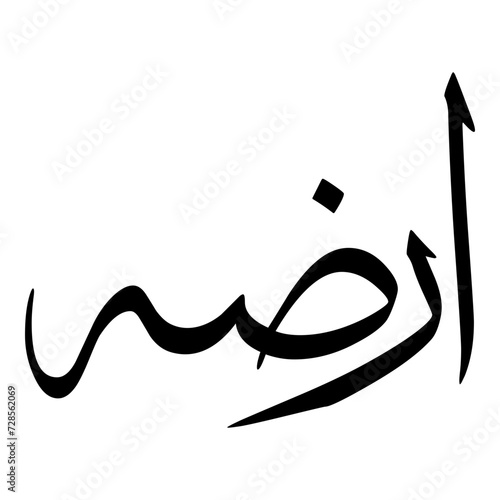 Ardah Muslim Girls Name Sulus Font Arabic Calligraphy 