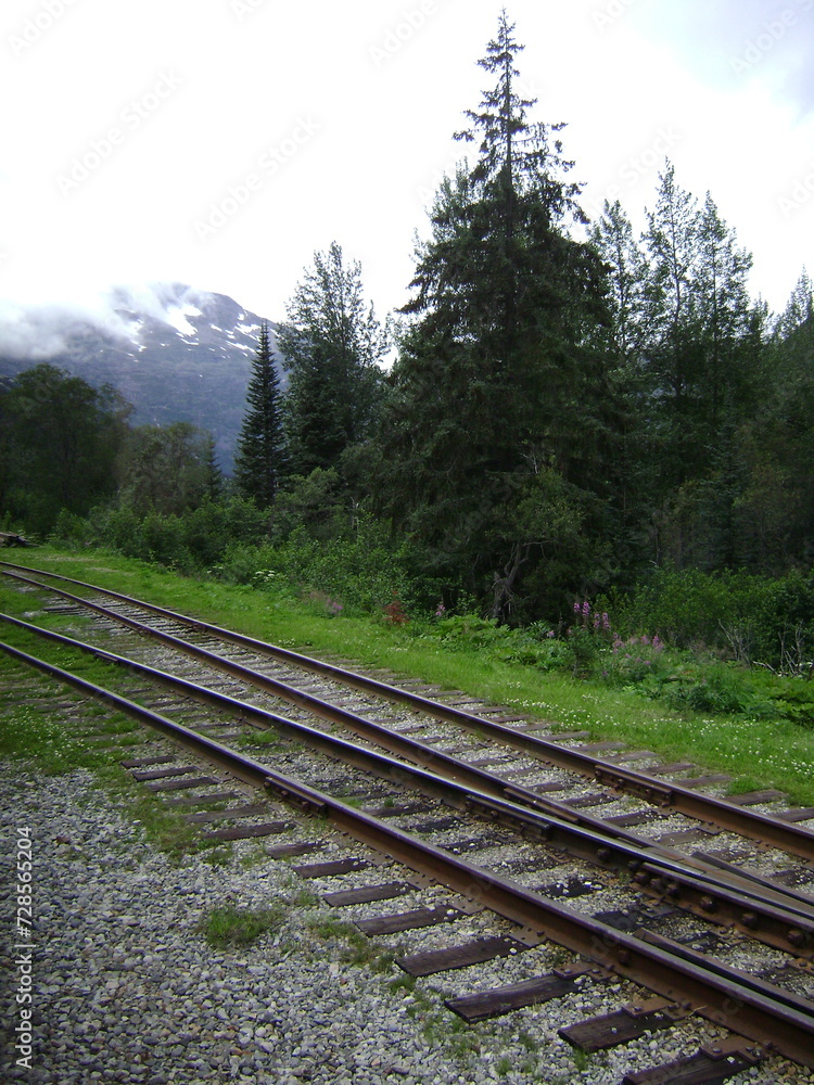 Fototapeta premium railway in the mountain side