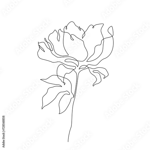 Peony flower in continuous line art drawing style.