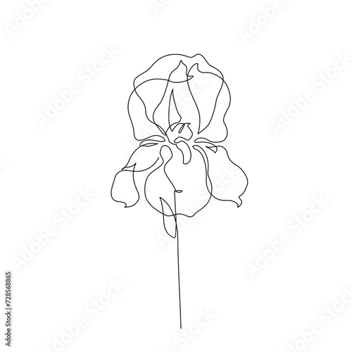 Iris flower in continuous line art drawing style. Iris flower black line sketch