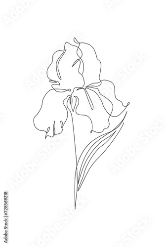 Iris flower in continuous line art drawing style. Iris flower black line sketch