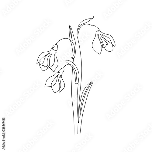 Snowdrops flower continuous line art drawing style. Snowdrop line sketch. Spring concept.