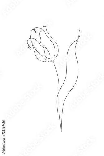 Tulip flower continuous line art drawing style. Tulip line sketch. Mother`s day concept