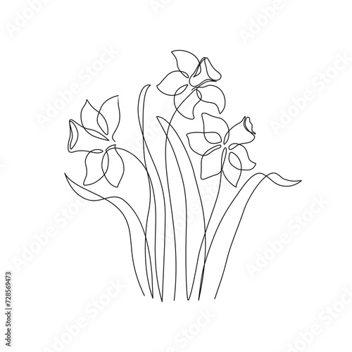 Narcissus flower in continuous line art drawing style. Narcissus black line sketch.