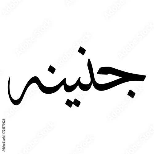 Janina Muslim Girls Name Sulus Font Arabic Calligraphy 