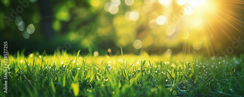 green grass blurred background with sun rays on a meadow in the park photo