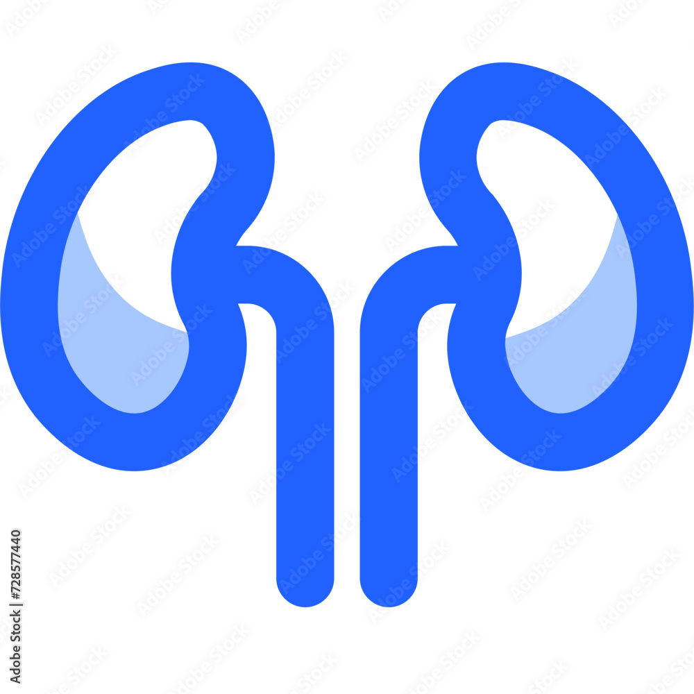 Kidney Renal, Nephron, Urinary System, Filtration, Dialysis, Renal