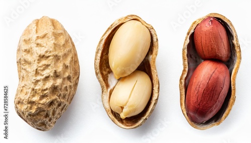 collection of single roasted peeled peanut isolated on white background top view photo