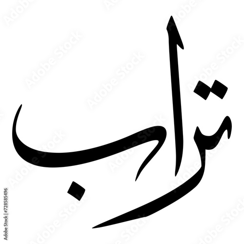 Taraab Muslim Girls Name Sulus Font Arabic Calligraphy  photo