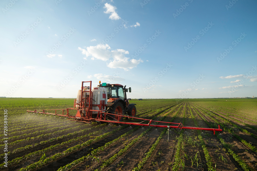Fototapeta premium Spraying pesticides at soy bean fields