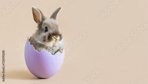 Cute Easter Rabbit bunny hatching from light pastel purple Easter egg,looking at the camera. isolated on pastel beige background. Copy space, Happy Easter holiday concept.