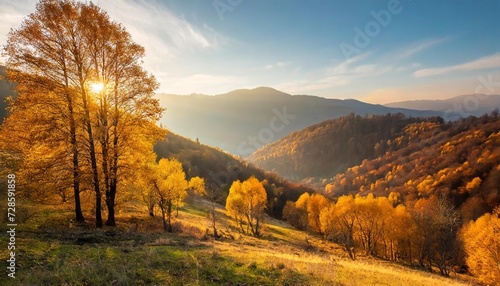 yellow autumn forest in the mountains at sunset yellow trees in the evening sunlight