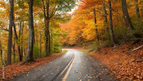 road in autumn forest fall country scenic