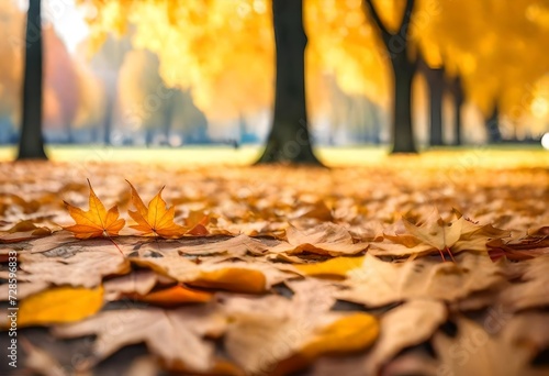 Beautiful orange and yellow autumn leaves against a blurry park in sunlight with beautiful bokeh. Natural autumn background