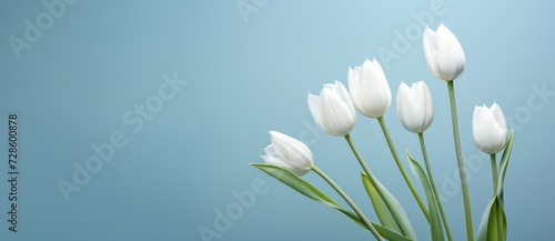 Vase Filled With White Flowers on Top of a Table