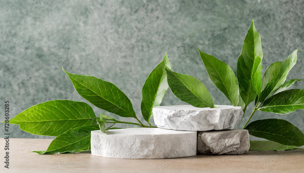 Green leaves and stone slabs product display, white podium and platforms, Green leaves and stone slabs product display, white podium and platforms,